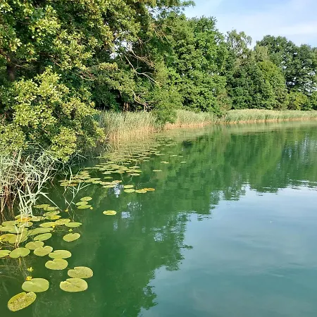 Semesterbostad Jw Mazury Wakacyjne Nad Jeziorem-dom Czapla
