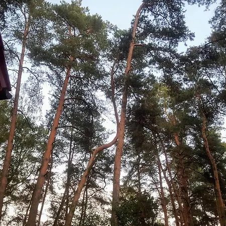 Jw Mazury Wakacyjne Nad Jeziorem-dom Czapla بيت للعطل *